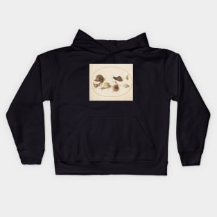 Naturalist Snails Kids Hoodie